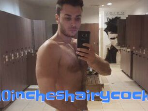 10incheshairycock