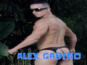 ALEX_GABINO
