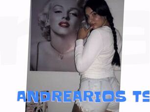 ANDREARIOS_TS
