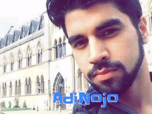 AdiNojo
