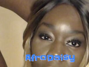 AfroDaisy