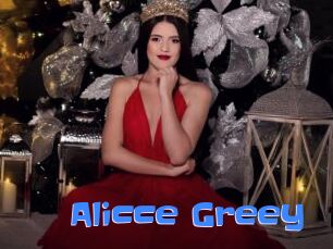 Alicce_Greey
