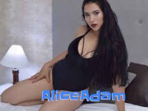 AliceAdam