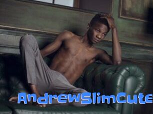 AndrewSlimCute