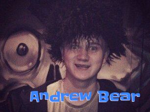 Andrew_Bear
