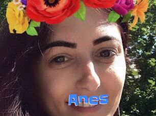 Anes