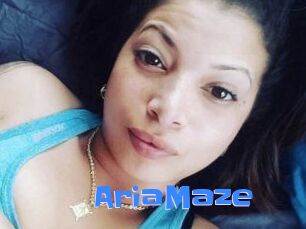 Aria_Maze