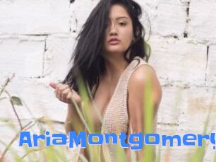 AriaMontgomery