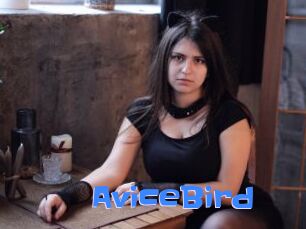 AviceBird