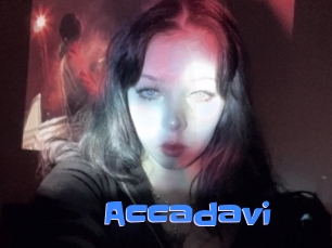 Accadavi