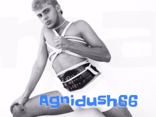 Agnidush66
