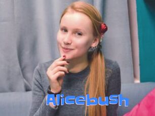 Alicebush