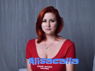 Alisacalla