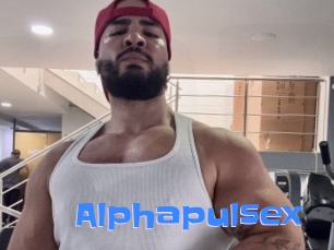 alphapulsex Mausi Privat