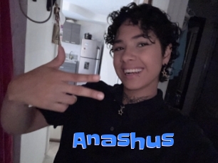 Anashus