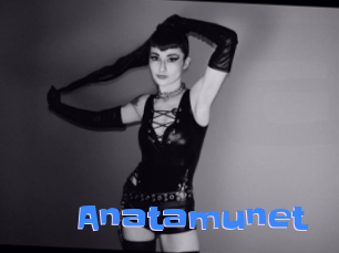 anatamunet Mausi Privat