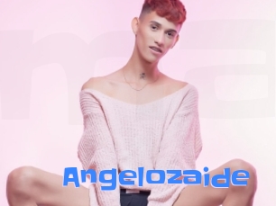 angelozaide Mausi Privat