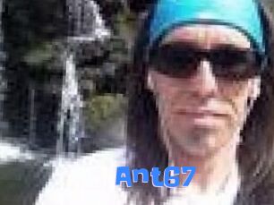 Ant67
