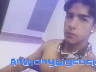 Anthonybigcock