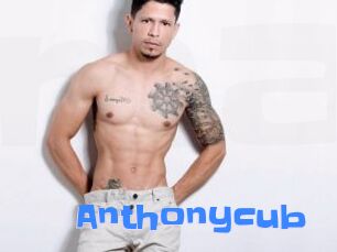 Anthonycub