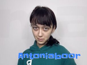 Antoniaboor