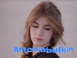 Antoniabufkin