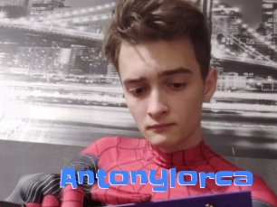 antonylorca Mausi Privat