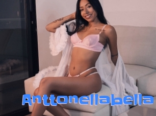 Anttonellabella