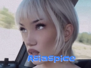 asiaspice Mausi Privat