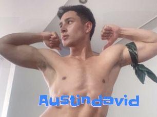austindavid Mausi Privat