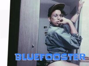 BLUEFOOSTER