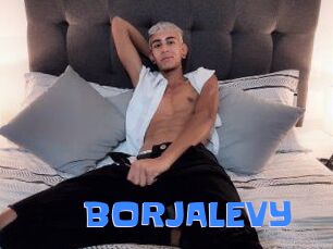 BORJALEVY