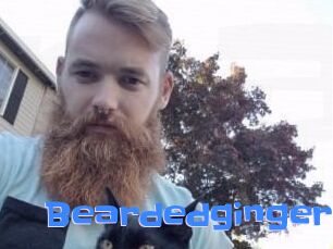 Beardedginger