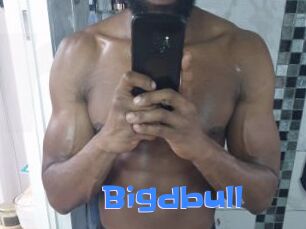 Bigdbull