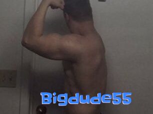 Bigdude55