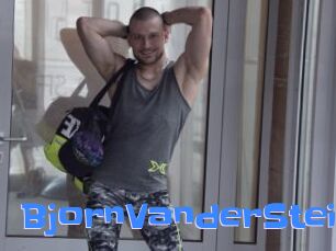 BjornVanderStein