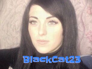 BlackCat23
