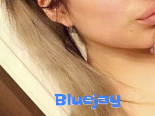 Blue_jay