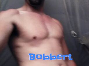 Bobbert