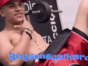 Boysensualhard