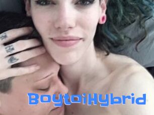 BoytoiHybrid