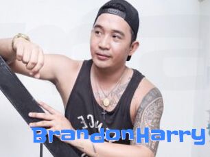 BrandonHarry
