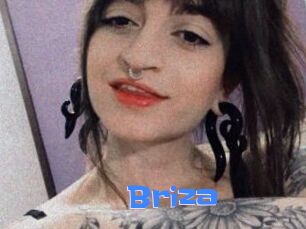 Briza
