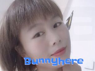 Bunnyhere