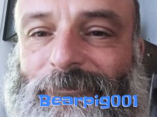 Bearpig001