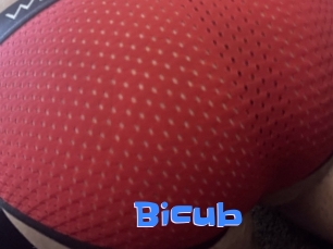 Bicub
