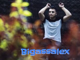 Bigassalex