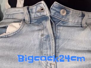 Bigcock24cm