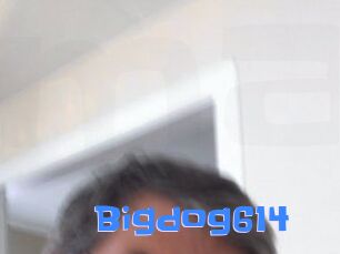 Bigdog614