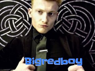 Bigredboy